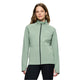 Iceberg Green