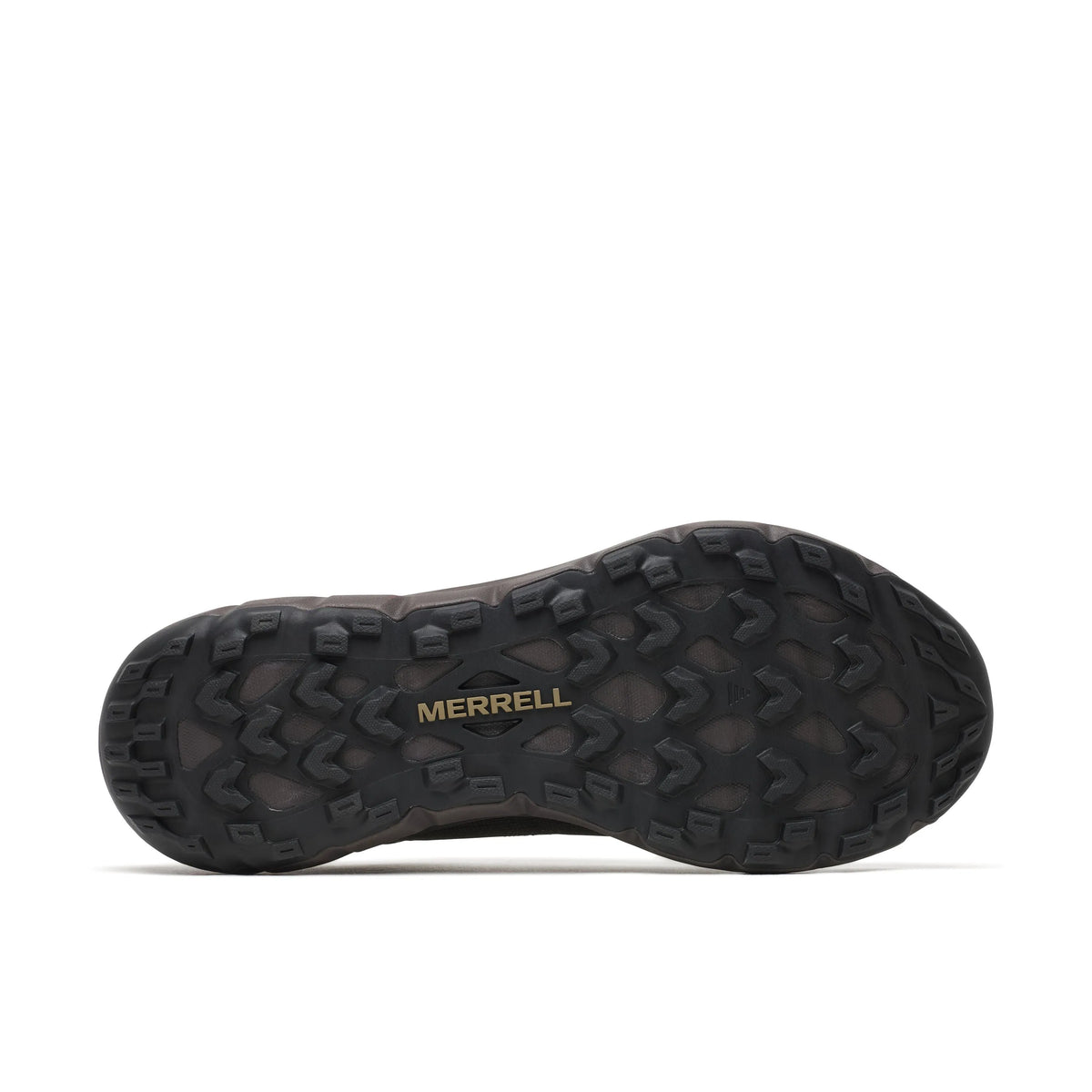 Coal