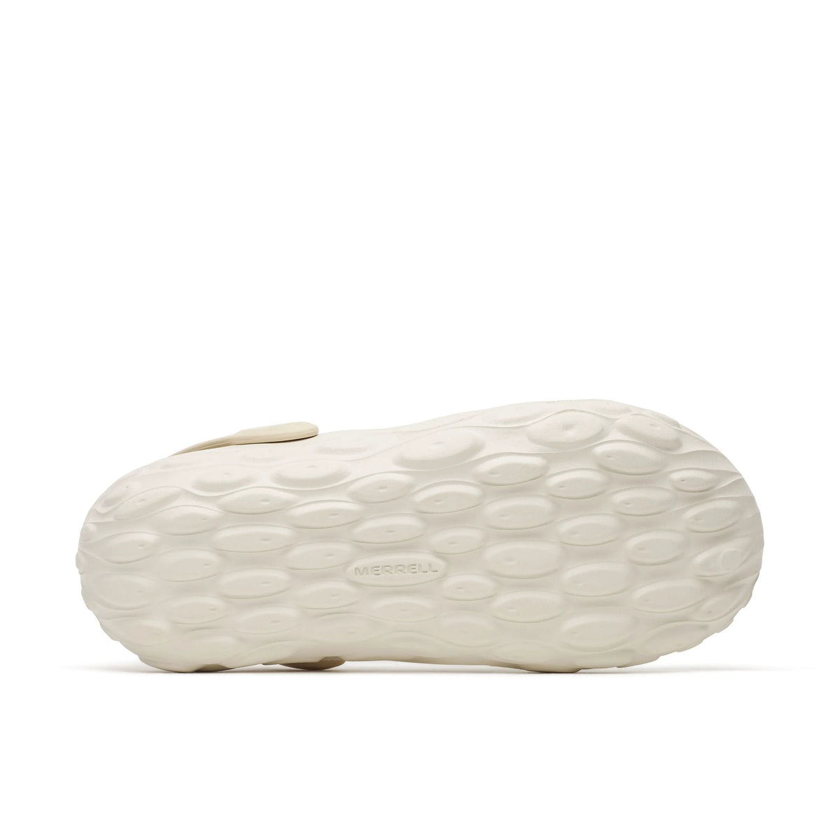 Eggshell